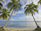 Panama  Bocas Del Toro Province  Carenero Island  Palm Trees and Beach