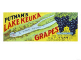 Hammondsport  New York - Putnam's Lake Keuka Concord Grapes Label