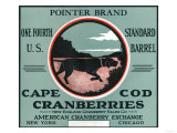 Cape Cod  Massachusetts - Pointer Brand Cranberry Label