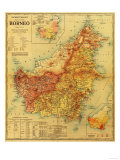 Borneo - Panoramic Map