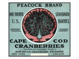 Cape Cod  Massachusetts - Peacock Brand Cranberry Label