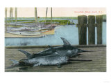 Block Island  Rhode Island - View of Two Swordfish