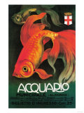 Italy - Aquarium & Municipal Park Promotional Poster