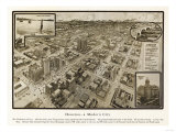 Houston  Texas - Panoramic Map