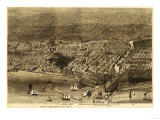 Chicago  Illinois - Panoramic Map No 1