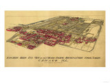 Chicago  Illinois - Panoramic Map