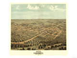 California  Missouri - Panoramic Map