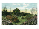 Rochester  New York - Highland Park's Rhododendron Path and Pavilion