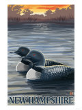 New Hampshire - Common Loon