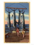 Santa Catalina  California - Little Girls Looking at Caught Swordfish