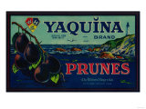 Portland  Oregon - Yaquina Prune Label