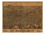 New Haven  Connecticut - Panoramic Map