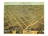 Lexington  Kentucky - Panoramic Map