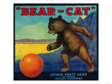 Bear Cat Orange Label - Ontario  CA