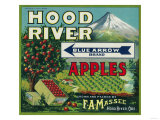 Blue Arrow Apple Crate Label - Hood River  OR