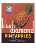 Blue Diamond Pineapple Label - Corozal  PR