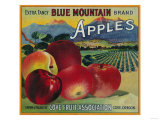 Blue Mountain Apple Crate Label - Cove  OR