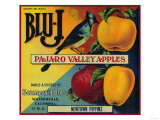 Blu-J Apple Crate Label - Watsonville  CA