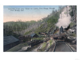 Lumberjacks Carrying Logs over Gulch by Cable - Fort Bragg  CA