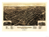 Tallahassee  Florida - Panoramic Map