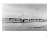 Digging for Razor Clams on Pacific Ocean Beaches Photograph - Washington Coast