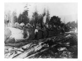 Group of Lumberjacks on Large Log Photograph - Cascades  WA