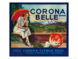 Corona Belle Orange Label - Corona  CA