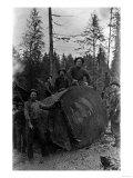 Lumberjacks standing around 7 ft Fir Tree Photograph - Cascades  WA