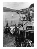 Fishing Boats along shore in Southeastern Alaska Photograph - Alaska