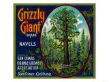Grizzly Giant Orange Label - San Dimas  CA