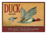 Duck Lemon Label - San Dimas  CA
