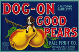 Dog On Good Pears Pear Crate Label - Suisun  CA