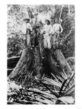 Lumberjacks Standing on a Stump Photograph - Mindoro  Philippines
