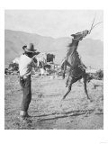 Cowboy Holds Rope around Struggling Bronco's Neck Photograph - Texas