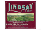 Lindsay Orange Label - Lindsay  CA
