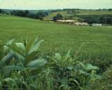 Woodstock 1969