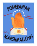 Pomeranian Marshmallows