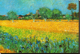 View of Arles with Irises