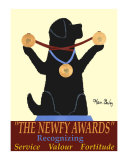 The Newfy Awards