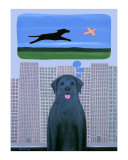 City Dog With Country Dreams