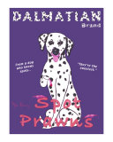 Dalmatian Spot Prawns
