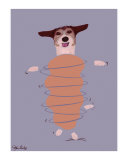 Jack Russell - Do You Want To Go For A Walk
