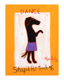 Dance-Stupid Pet Trick 6