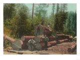 View of Lumberjacks  Logging Scene - Sterling  CA