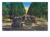 Model-T Fords on Kearney Avenue - Fresno  CA