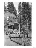 View of Lumberjacks and Cut Logs - El Dorado County  CA