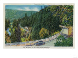On the Road to Big Trees from Santa Cruz - Santa Cruz County  CA