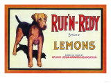 Ruf n' Redy Lemon Label - Upland  CA