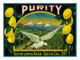 Purity Lemon Label - Tustin  CA