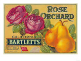 Rose Orchard Pear Crate Label - San Francisco  CA